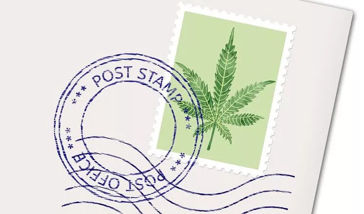 BBB Issues Warning About Online Marijuana Retailer Scams