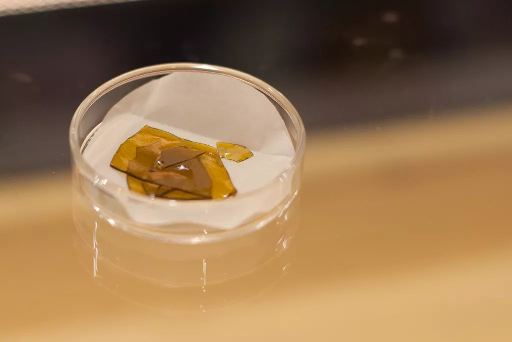 extracted THC shatter