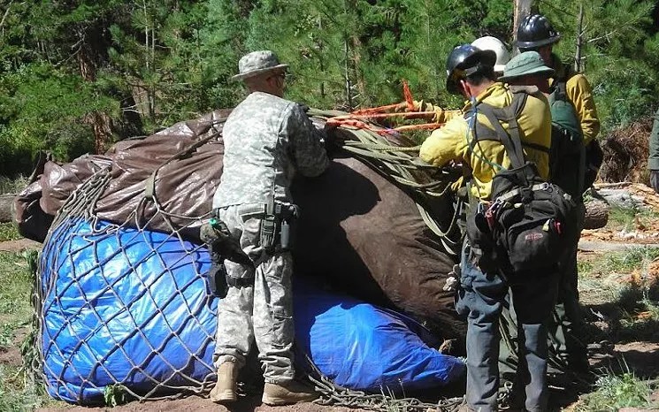 “I Swear, Officer — That’s Not My 31 Pounds of Pot!”