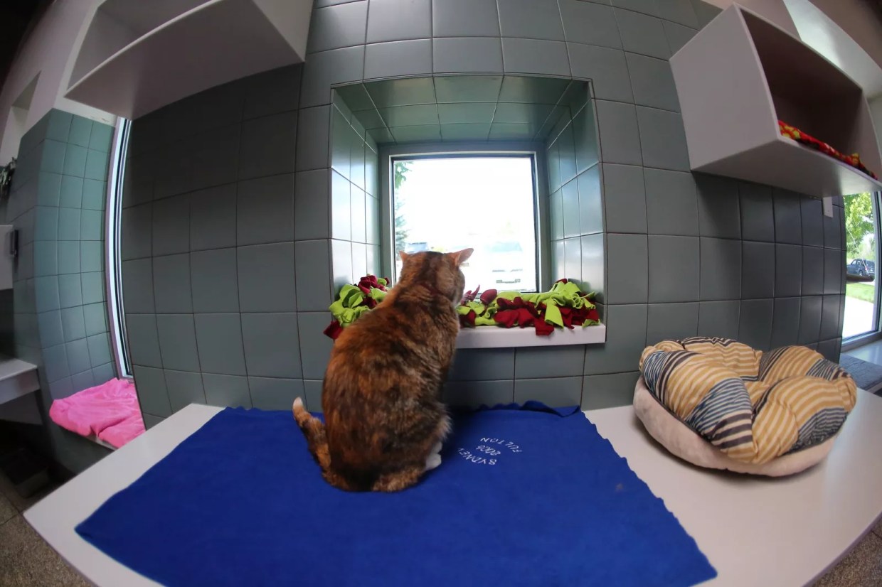 Stuck at Home? Here’s What You Missed on a Hot Weekend in Denver