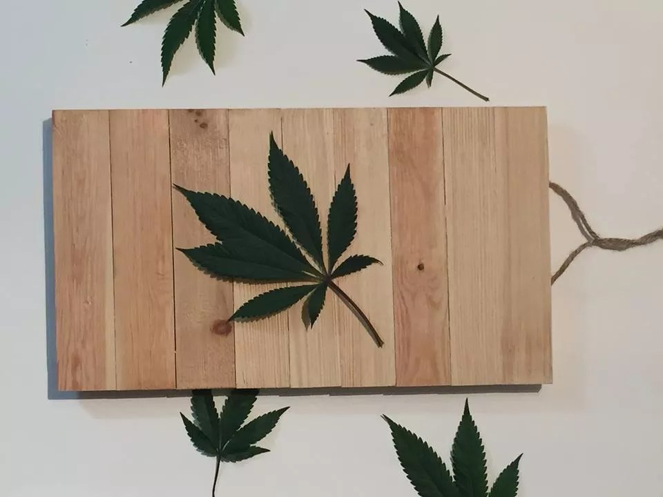 Ellementa Has the Right Recipe for a Female Buddy System in Denver