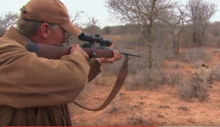 Nuggets Owner Stan Kroenke Under Fire for Big-Game Hunting Channel