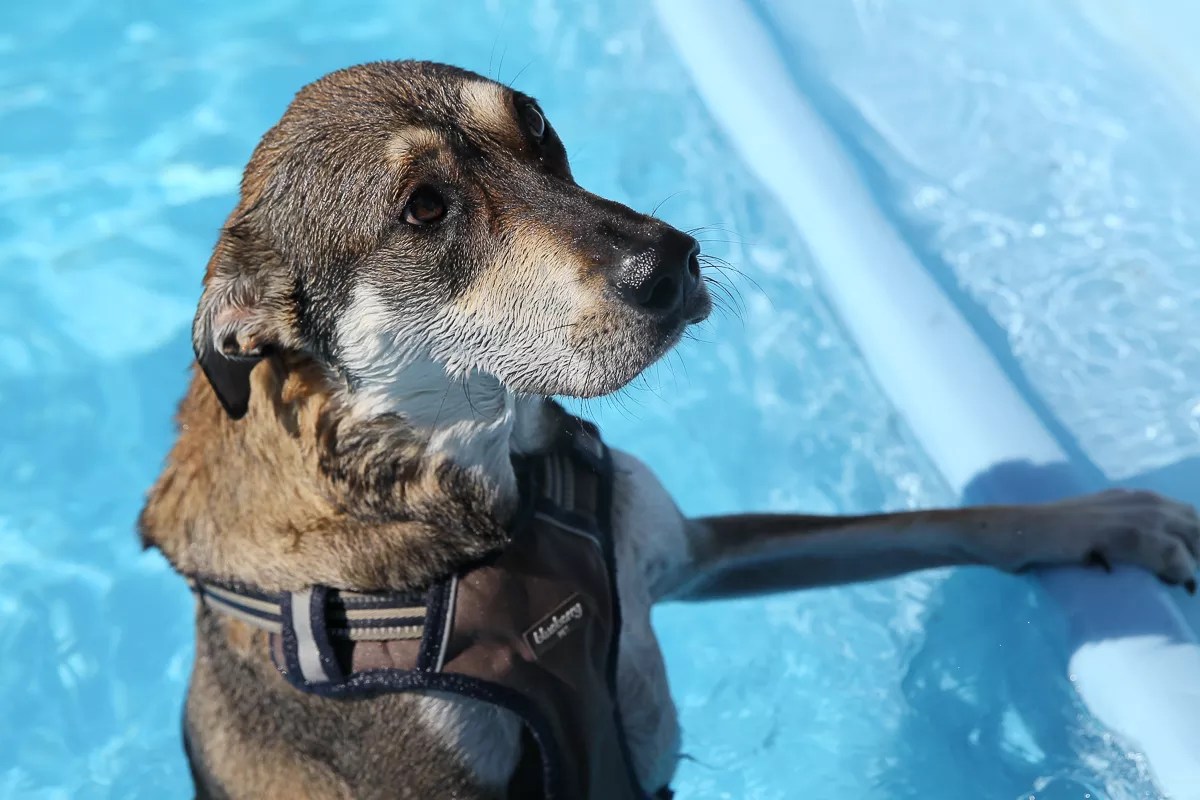 The Best Photos of Summer 2017