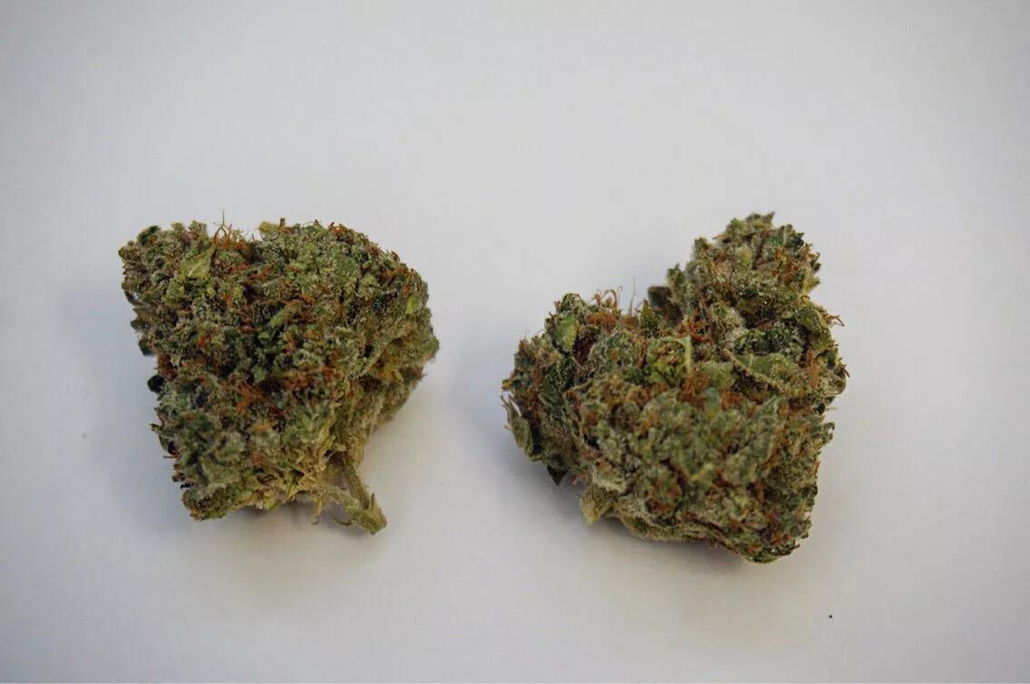 Why Colorado Tokers Love Toxic Kool Aid