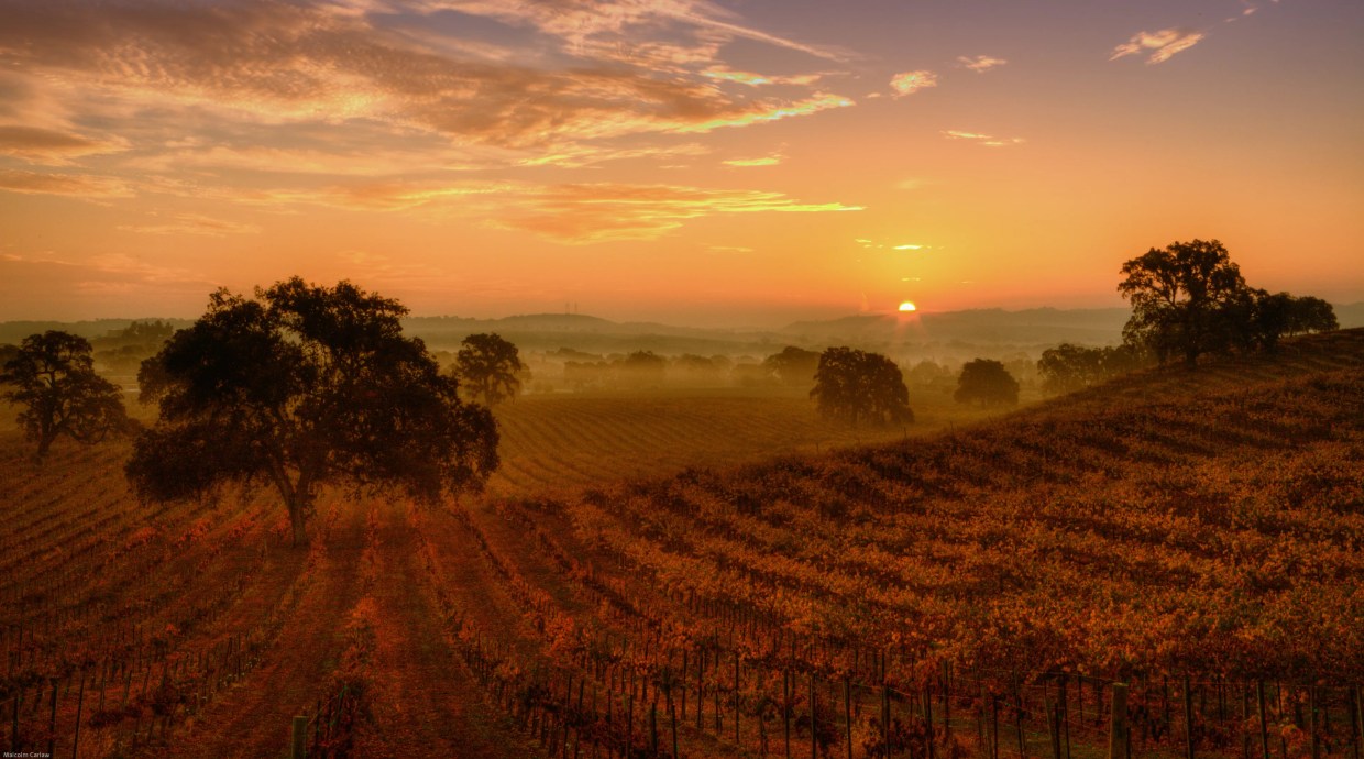 Colorado’s Only Master of Wine Gives Her Fall Recommendations