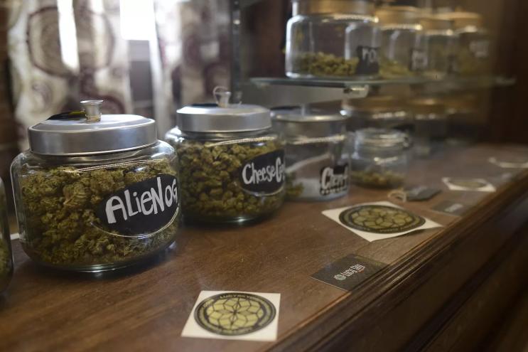 Jars of cannabis on the counter