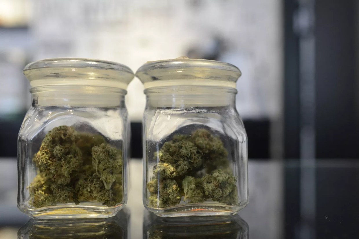 Longmont May Lift Ban on Retail Marijuana Dispensaries