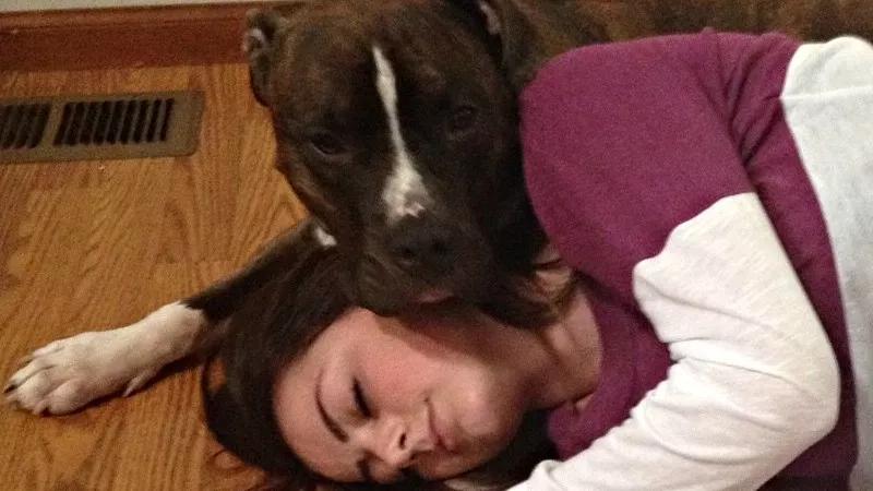 The Ten-Month Fight to Stop Aurora From Killing This Dog