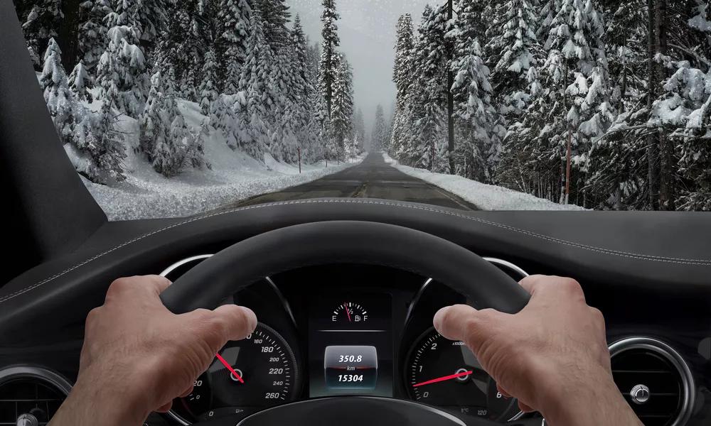 California Transplants Wake Up in Horror to Their First Snowstorm