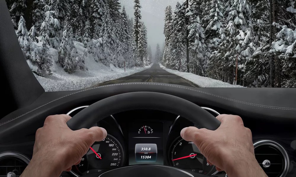 California Transplants Wake Up in Horror to Their First Snowstorm