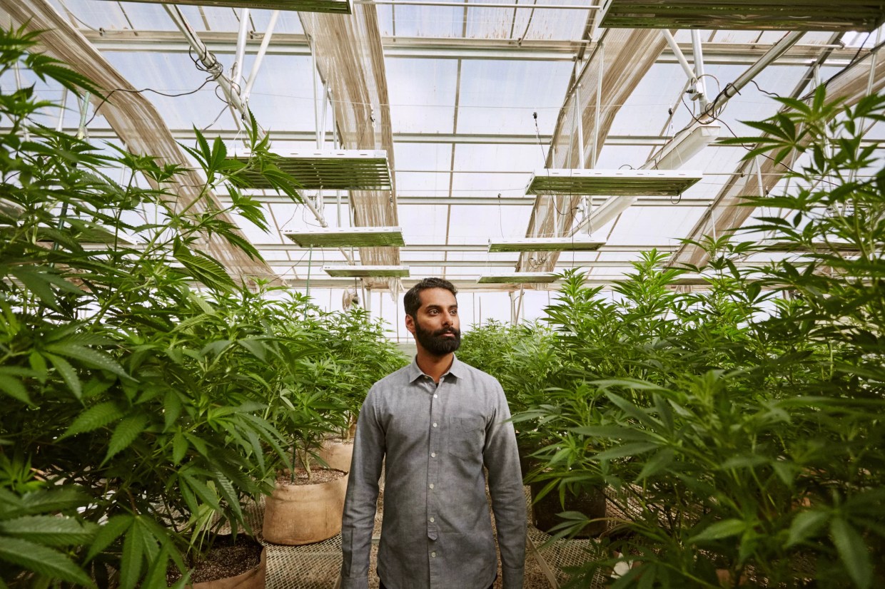 Is VICE’s Show About Denver’s Cannabis Industry and Homeless Sweeps Worth Your Time?