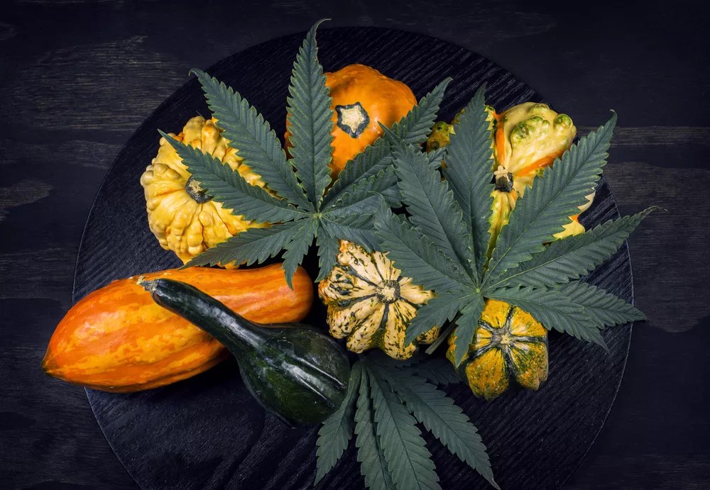 Easy Marijuana Edibles Recipes for Thanksgiving