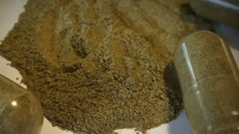 Denver Bans Controversial Herbal Drug Kratom for Human Consumption