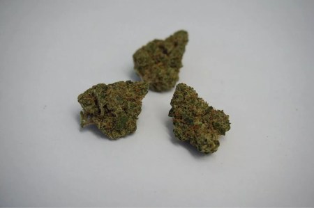 Five Colorado Cannabis to Try This Fall