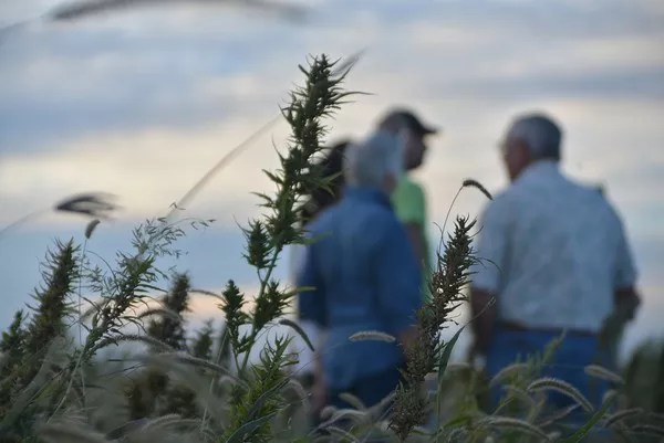 How One Machine Can Change Colorado Hemp Farming