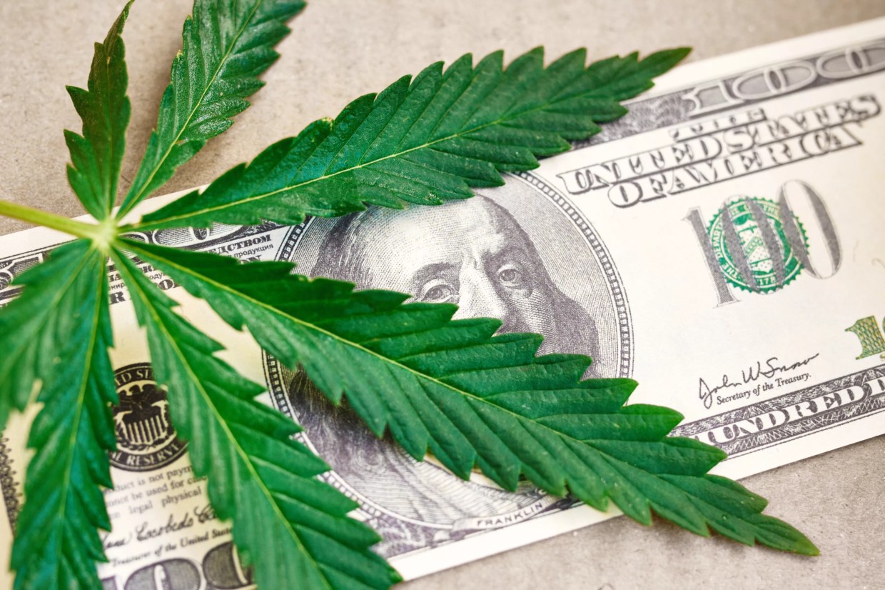 State’s New Monthly Pot Sales Numbers Show Interesting Trends