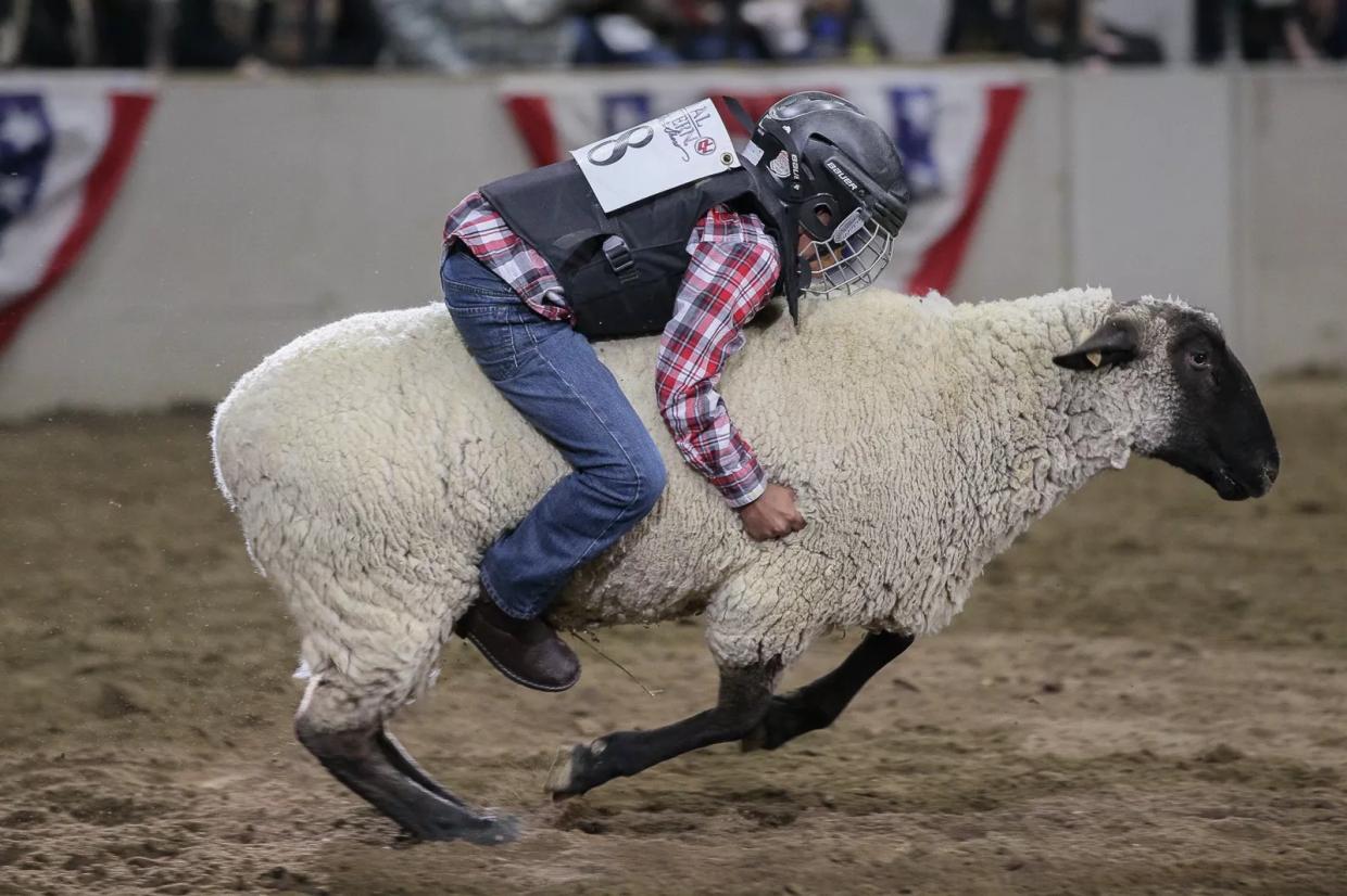 Brit Wants to Lasso Mutton Bustin’ at the National Western Stock Show