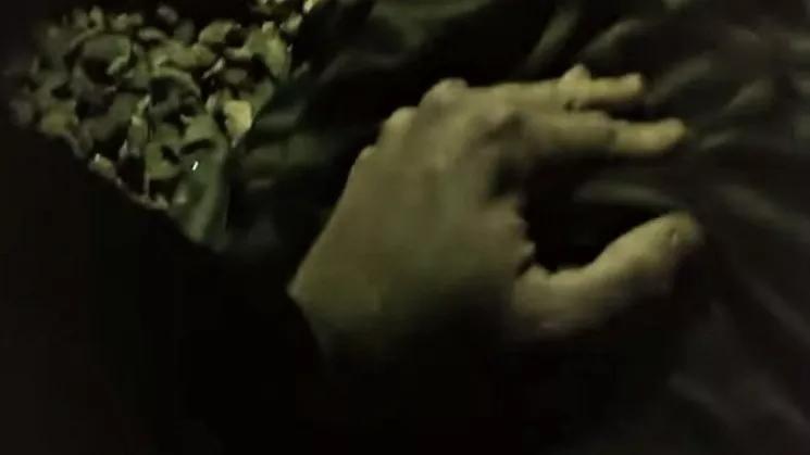What Can Happen If You’re Black and Your Cat Gets Outside in Aurora