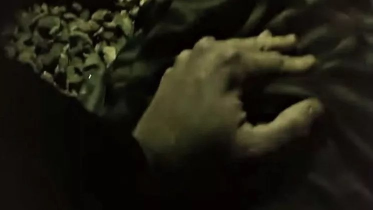What Can Happen If You’re Black and Your Cat Gets Outside in Aurora