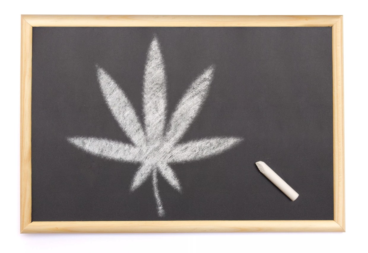 Boulder Entrepreneur Offering Cannabis Scholarship for Students