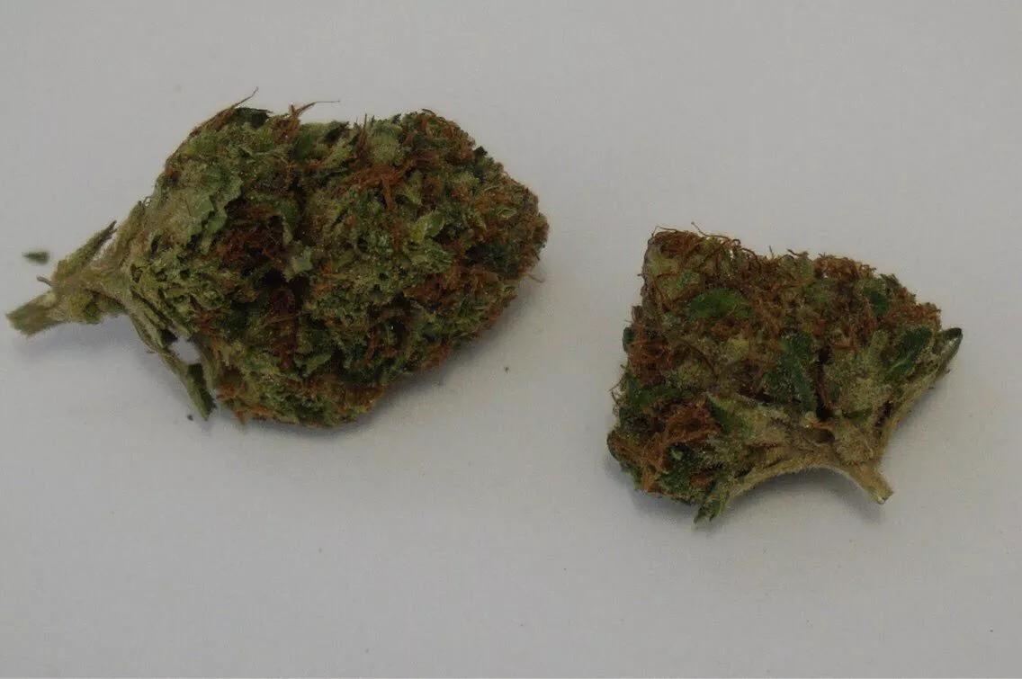 Why Colorado Tokers Love Snowcap