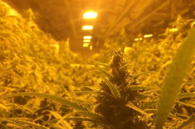 Can vacant pot facilities help data center voids?