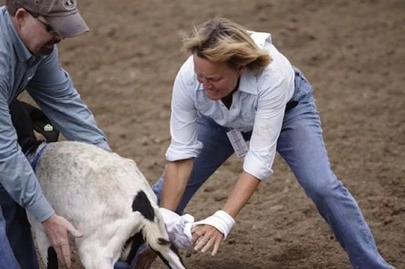 Don’t Like Mutton Bustin’? You’ll Really Hate Goat Dressing!