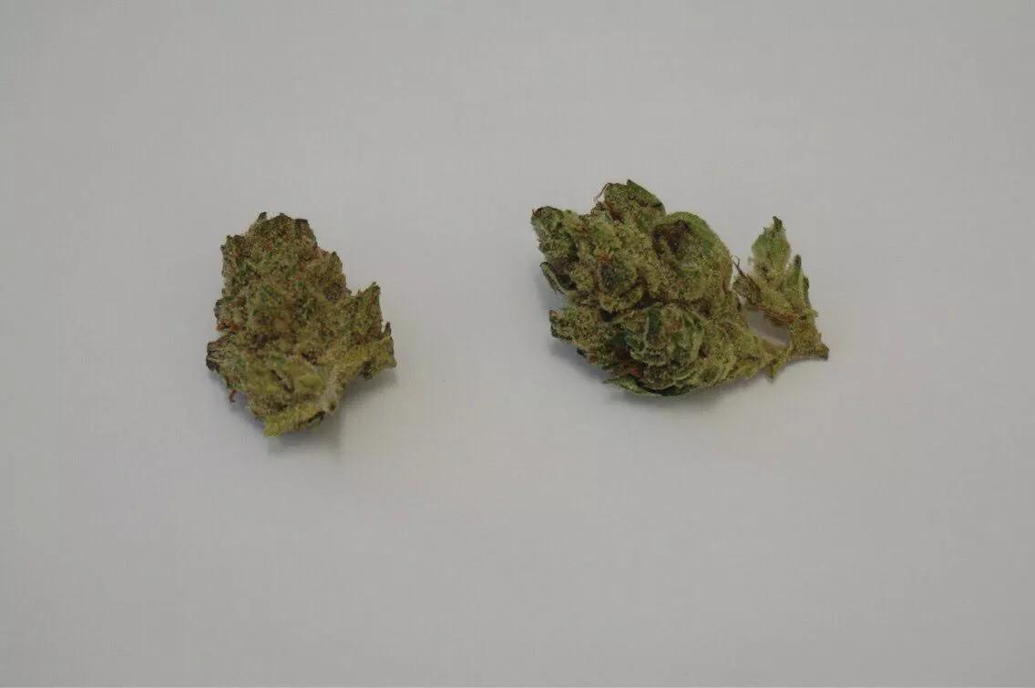 Why Colorado Tokers Love Mother’s Milk