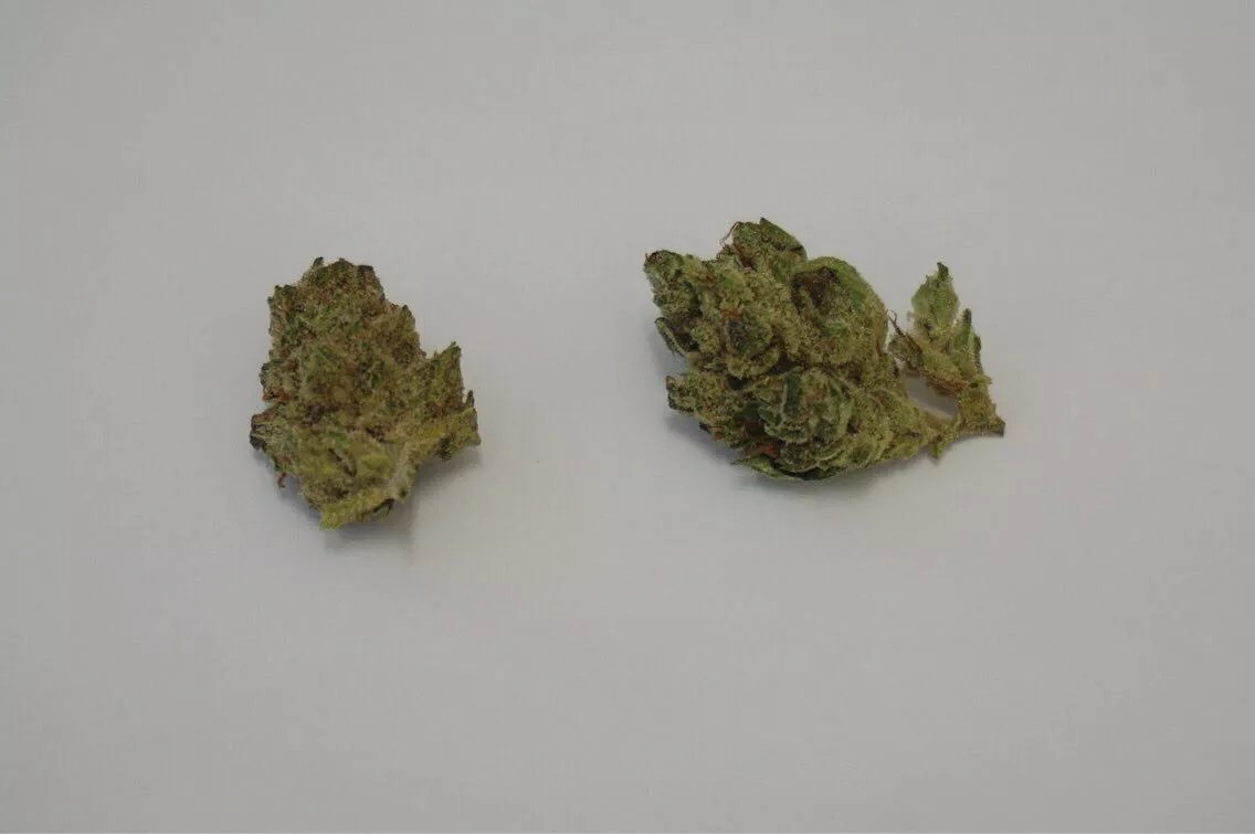 Why Colorado Tokers Love Mother’s Milk