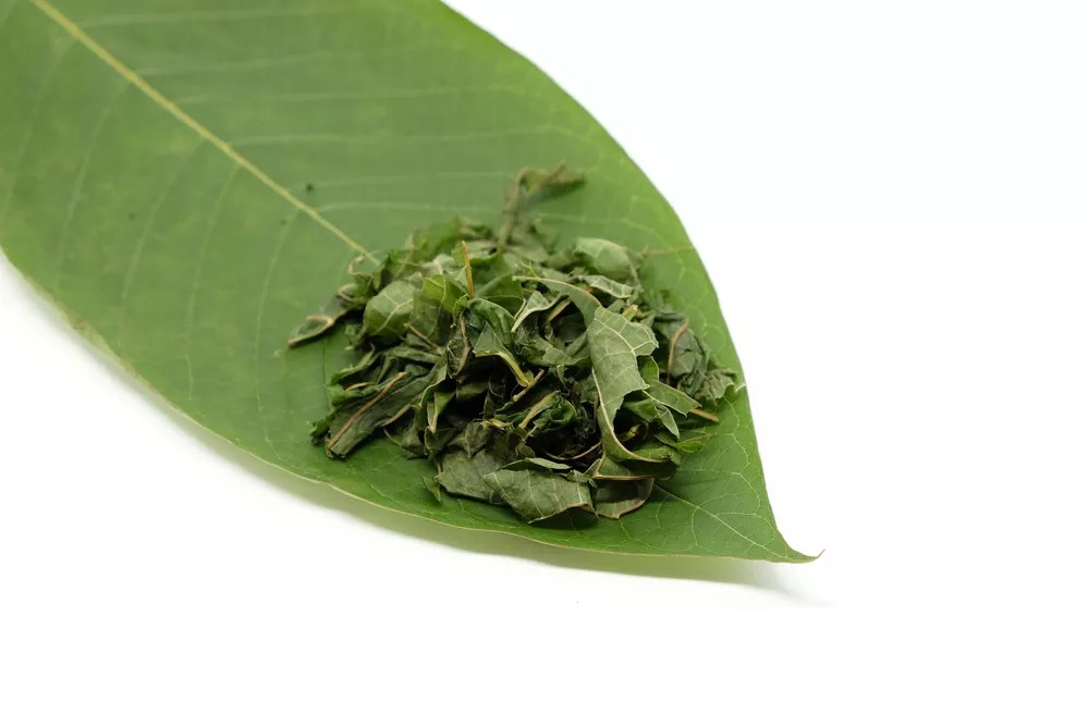 Reader: If Kratom Is Made Illegal, I Will Be Forced to Live in Pain