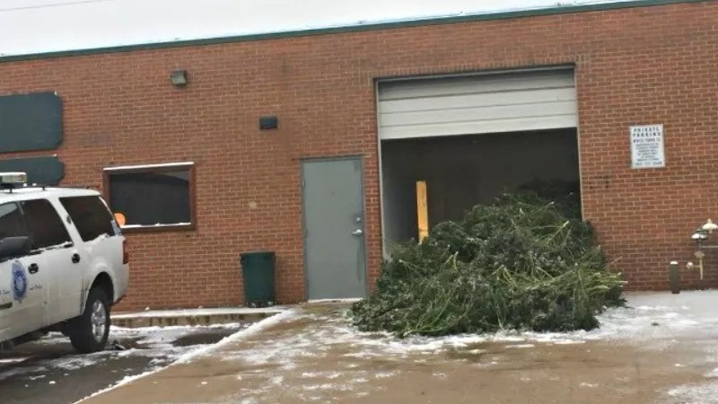 Rescinding Cole Memo One of Eleven Ways Trump May Try to Kill Legal Pot