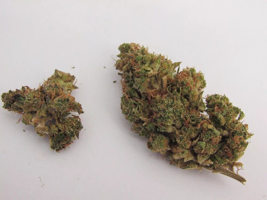 Why Colorado Tokers Love Opium