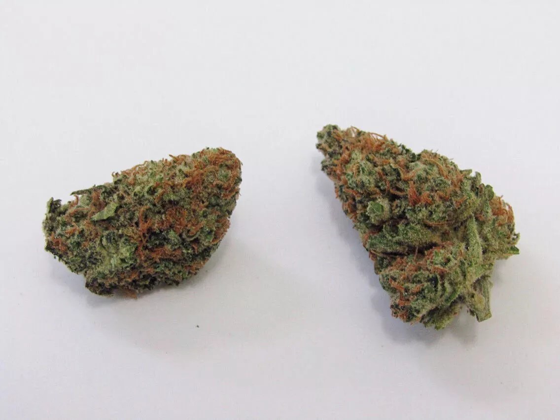 Why Colorado Tokers Love Ogre