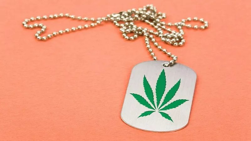 Unjust Firings for Colorado Marijuana Users: Inside a New Fix