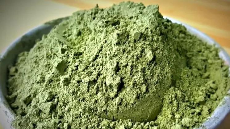 Reader: Kratom Is Just Another Way for Addicts to Get High