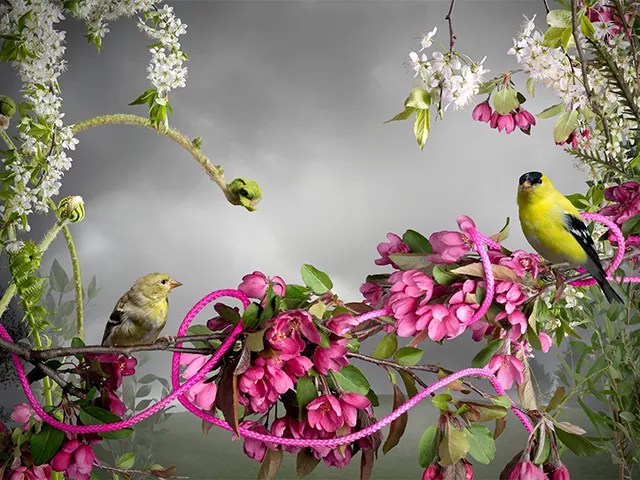 Six Arty Things to Do and See This Week in Denver