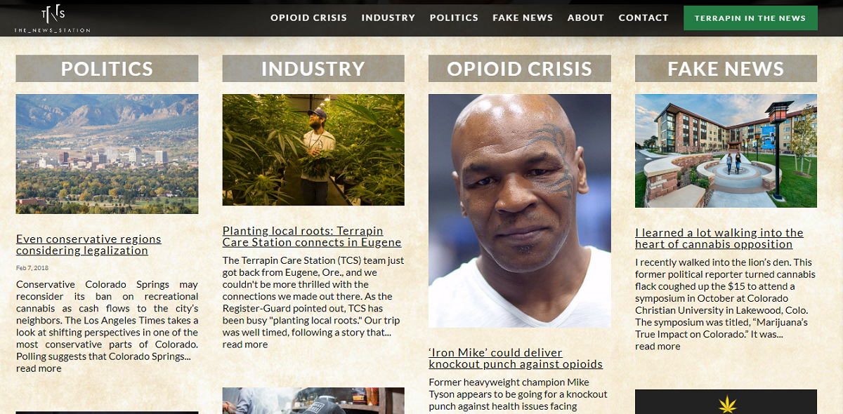 Terrapin-Funded TheNewsStation.com Connects Pot and Politics