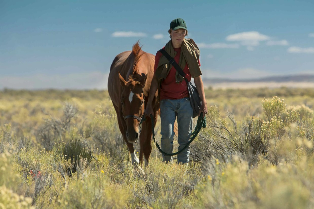 <i>Lean on Pete</i> Chucks Out Everything False About Horse Movies