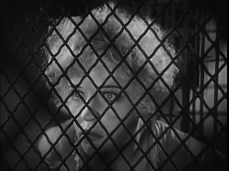 100 Colorado Creatives 4.0: Howie Movshovitz