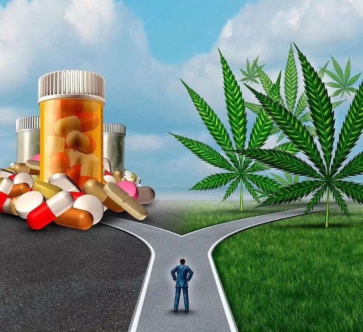 Reader: Legal Cannabis Saved Me From Opioids!