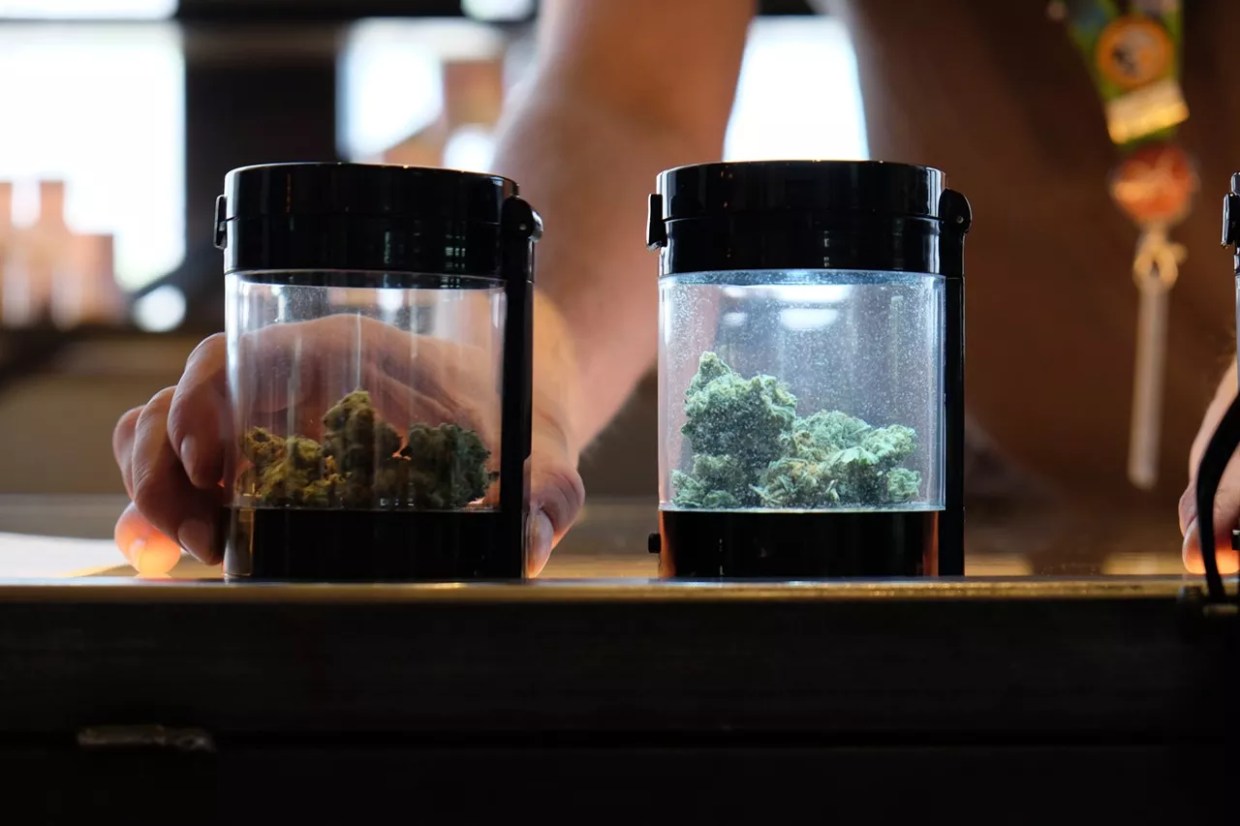 February Pot Sales Figures the Lowest in a Year