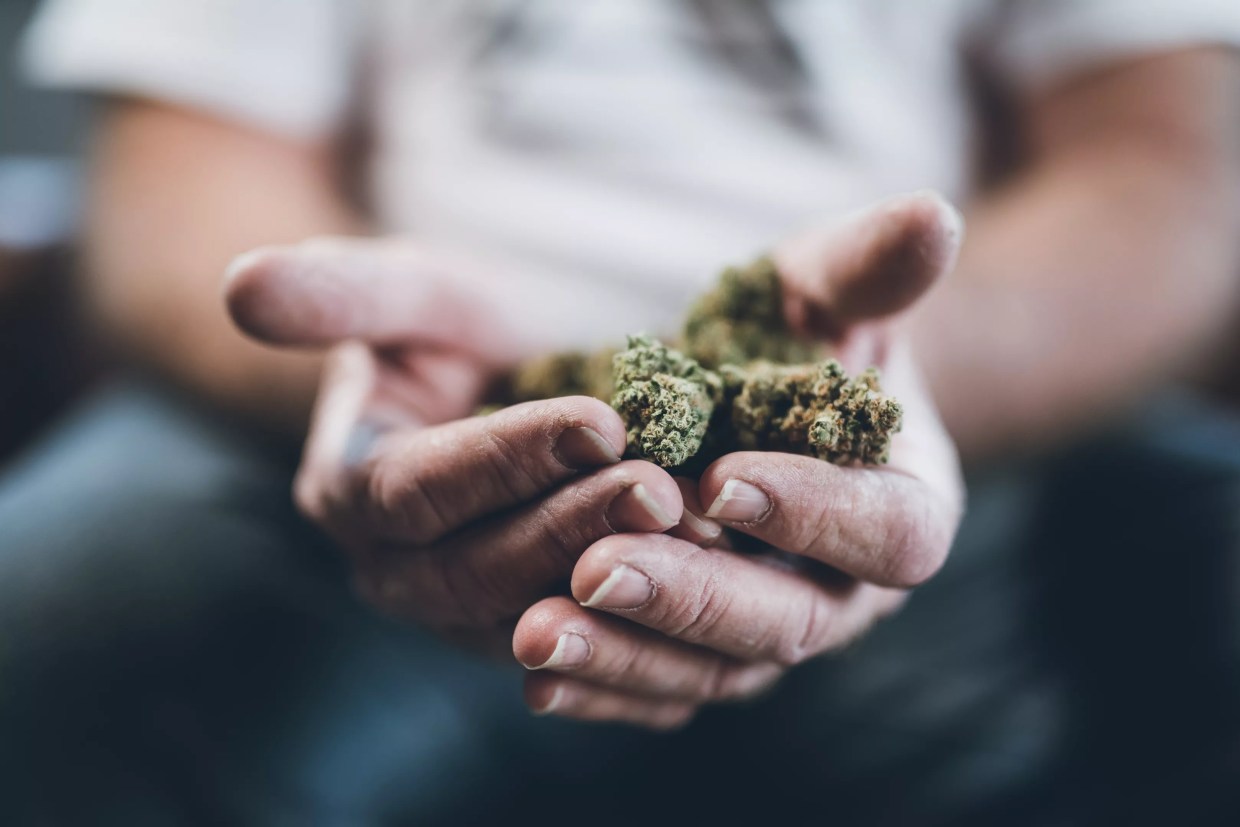 Trail Blazers: Portraits of Ten Cannabis Consumers