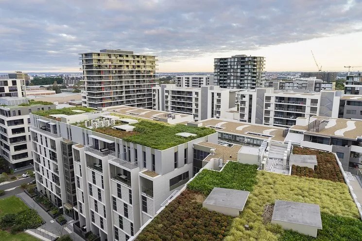 Green — Err, Cool — Roof Initiative Moves to Denver City Council