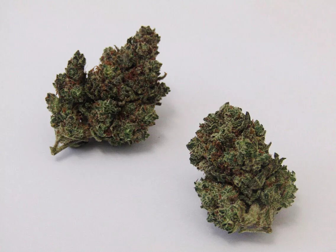 Why Colorado Tokers Love Cheese Quake