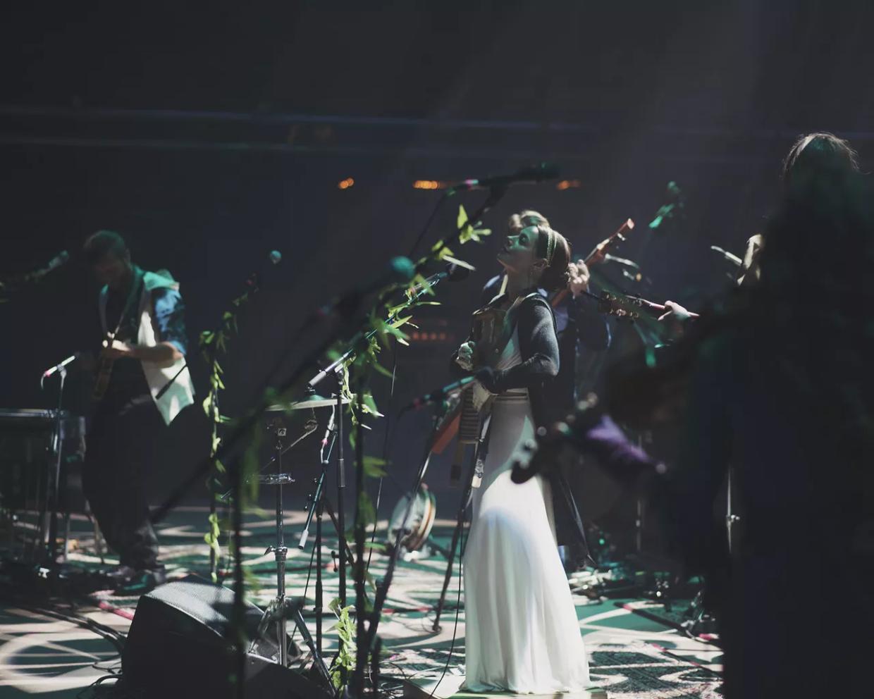 Elephant Revival Is Preparing to Say Goodbye