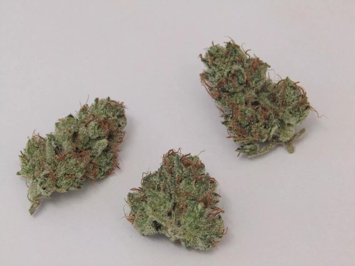 Why Colorado Tokers Love Witches Weed