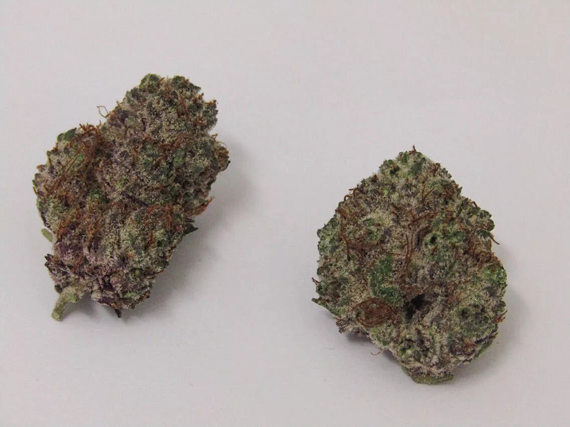 Why Colorado Tokers Love Black Mamba