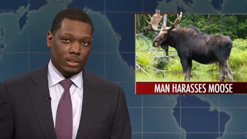 <i>Saturday Night Live</i> Takes Frisco Moose Story in Nasty Direction