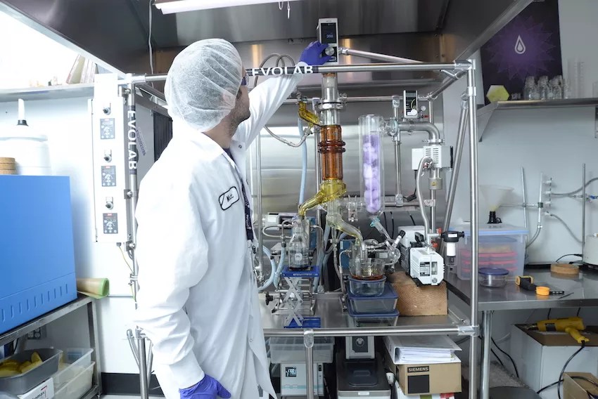 Evolab in Canadian Marijuana Partnership That Could Go Global