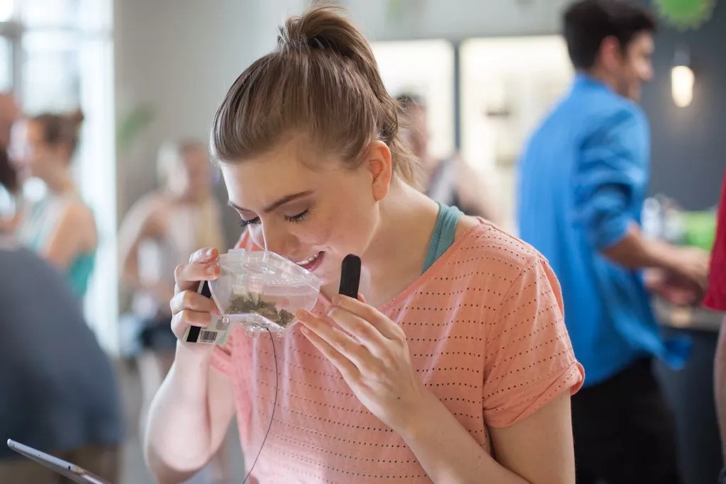 Is 4/20 All Smoke? Colorado Marijuana Sales Slow in April.